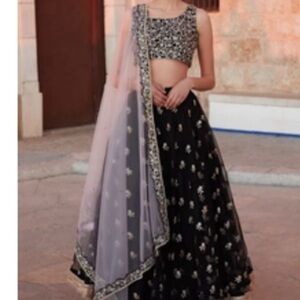 Black Embellished Lehenga Skirt with soft Pink Net Dupatta